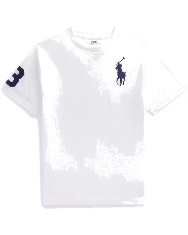 Boys Short Sleeve T-Shirt (8-18 Years)