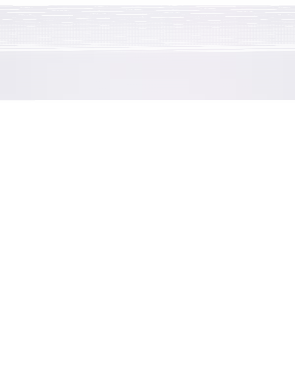 Men’s Ball Star Sneaker White/Black