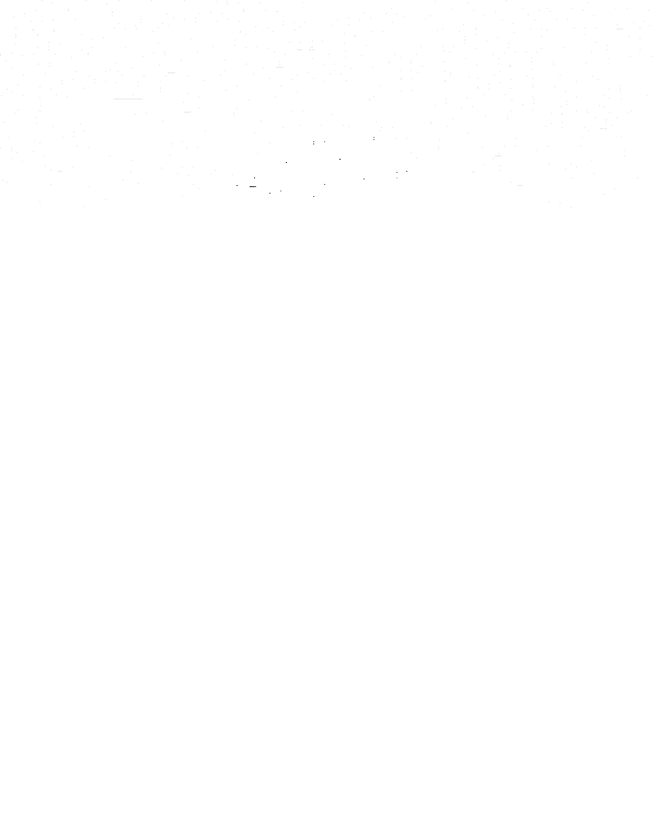 Men’s Querine