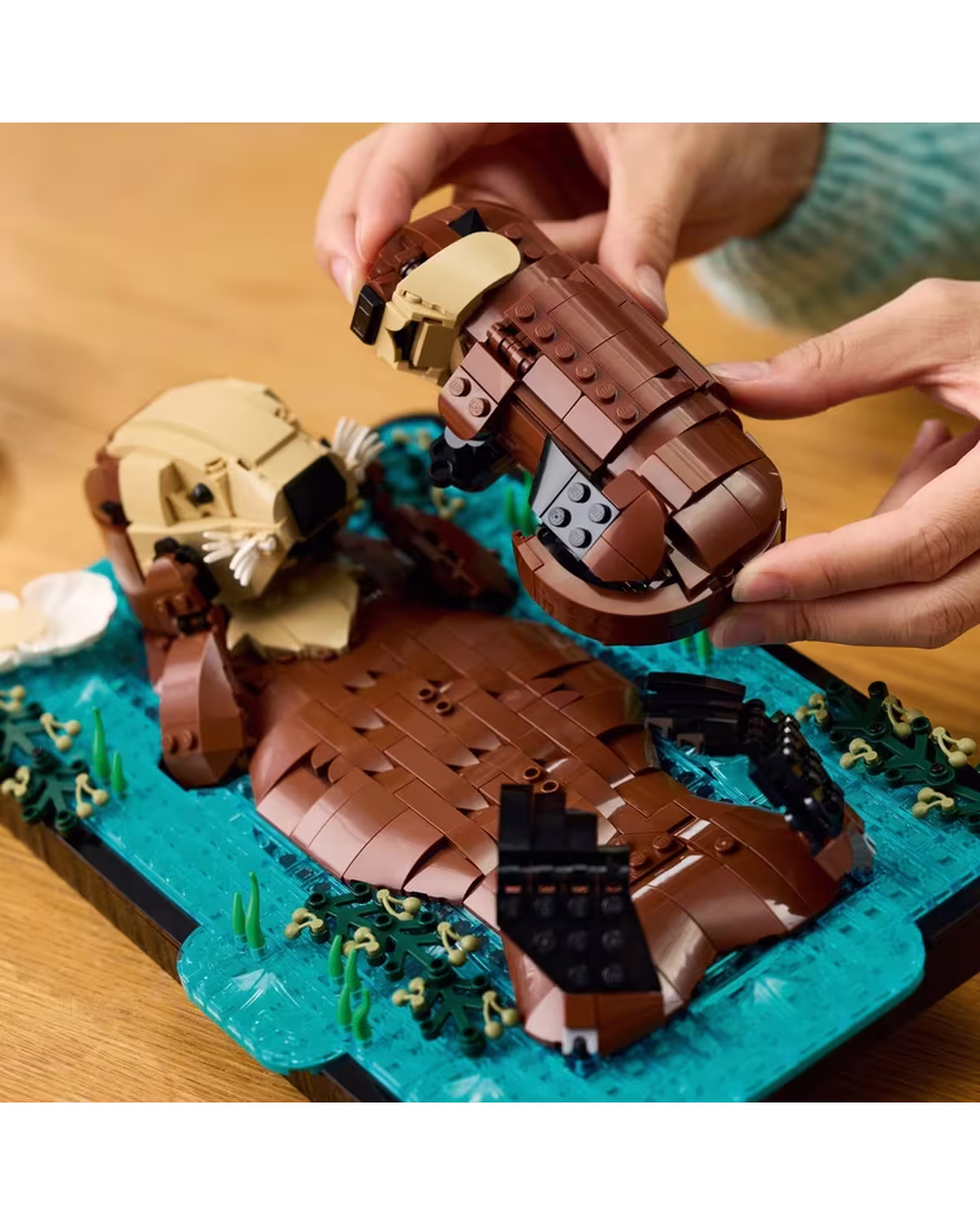 LEGO Ideas 21366 Floating Sea Otters Set for Adults view 4